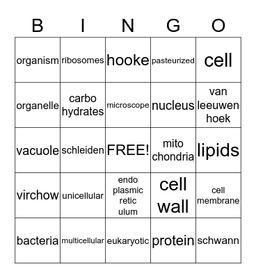 All About Cells Bingo Card