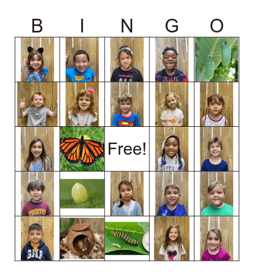 Kindergarten Bingo! Bingo Card