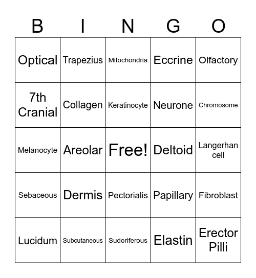 Beauty Bingo! Bingo Card