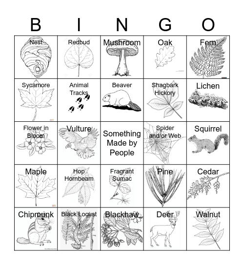 Lingo Bingo Card