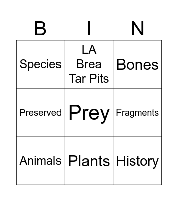 Fossils Bingo Card