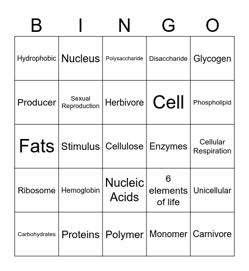 MACROMOLECULES Bingo Card