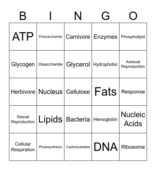 MACROMOLECULES Bingo Card