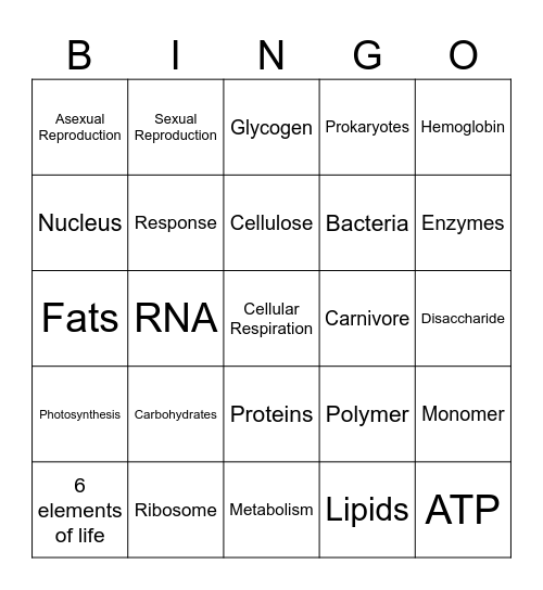 MACROMOLECULES Bingo Card