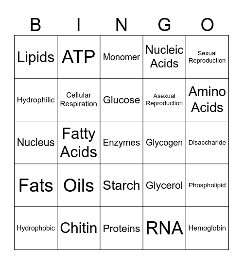 MACROMOLECULES Bingo Card