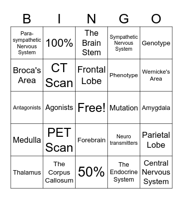 Chapter 3 Review Bingo Card