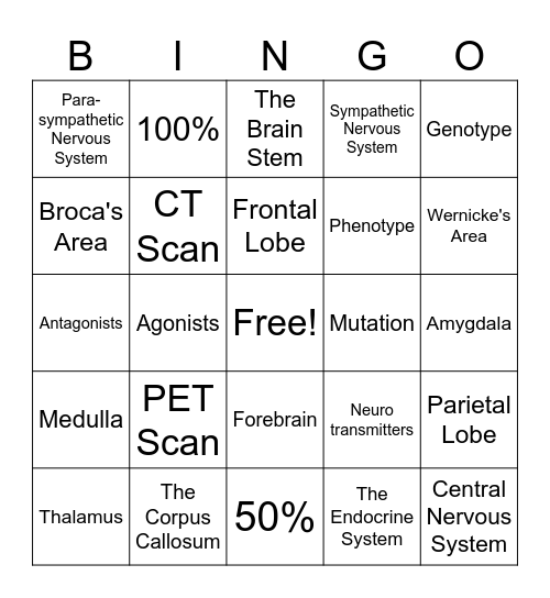 Chapter 3 Review Bingo Card