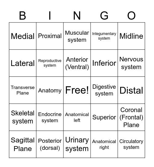 SPD anatomy 1 Bingo Card