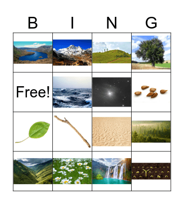 Nature Bingo Card