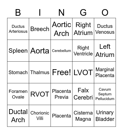 DMSG 405 Module 8 Bingo Card