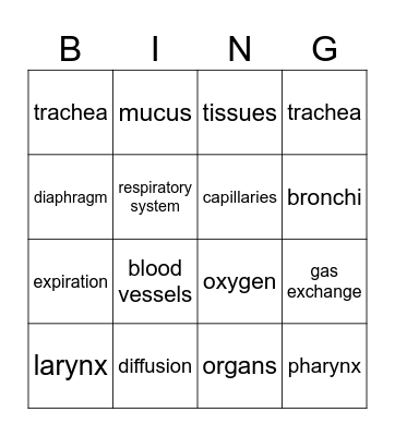 Respiratory System Bingo Card