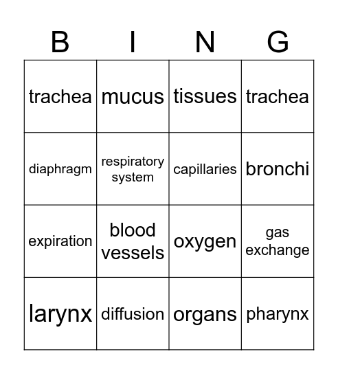 Respiratory System Bingo Card