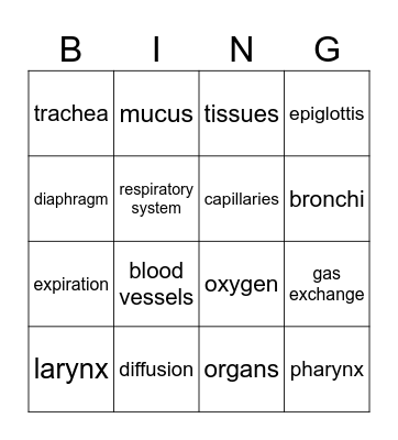 Respiratory System Bingo Card