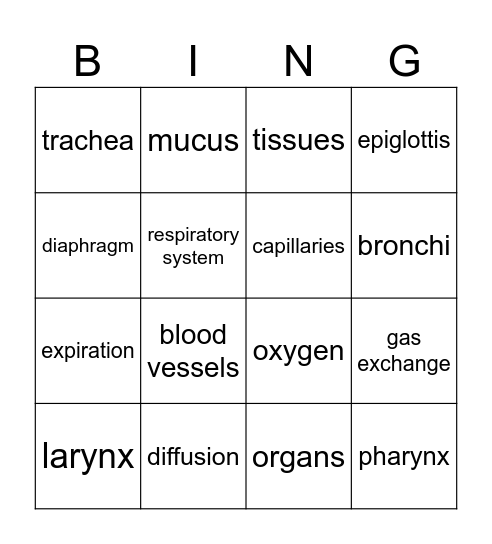 Respiratory System Bingo Card