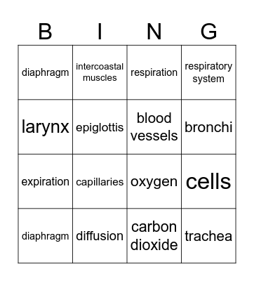 Respiratory System Bingo Card