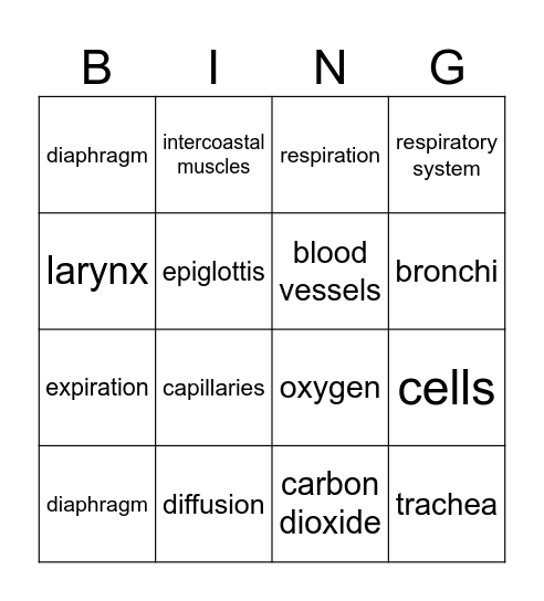 Respiratory System Bingo Card