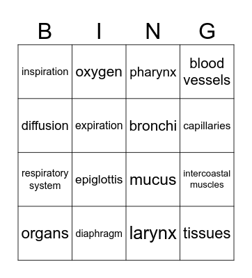 Respiratory System Bingo Card