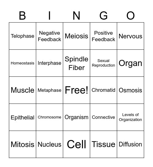 Structure & Functions of Life AND Cell Reproduction Bingo Card