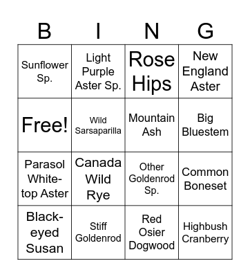 Flowers and Food of the Forest - September Bingo Card
