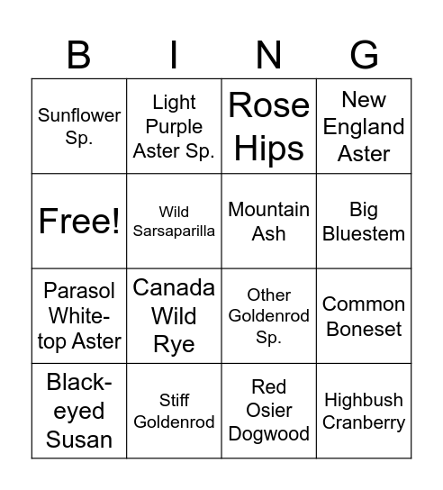 Flowers and Food of the Forest - September Bingo Card