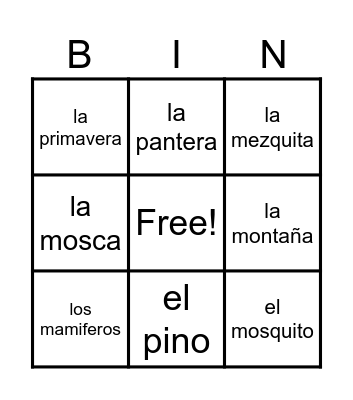 M&P VOCABULARY Bingo Card