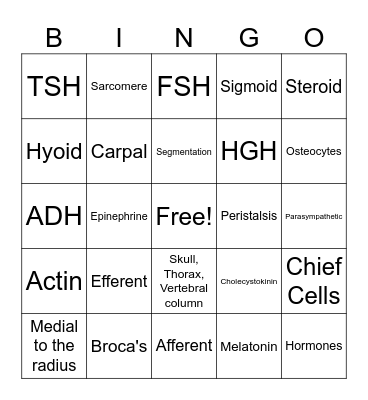 Chapters 6-10, 16 Bingo Card