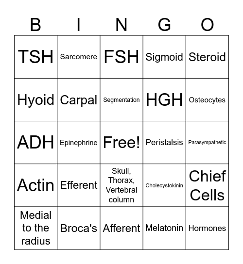 Chapters 6-10, 16 Bingo Card