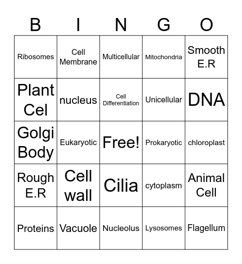 Organisms Bingo Card