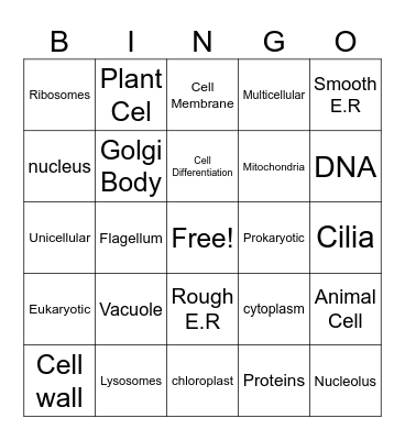 Organisms Bingo Card