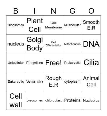 Organisms Bingo Card