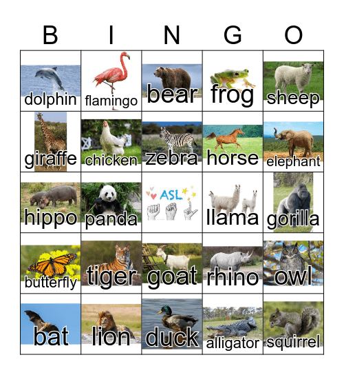 ASL Animals Bingo Card