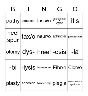 The Muscular System Bingo Card