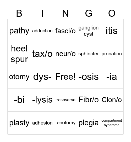 The Muscular System Bingo Card