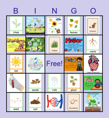 Science bingo Card