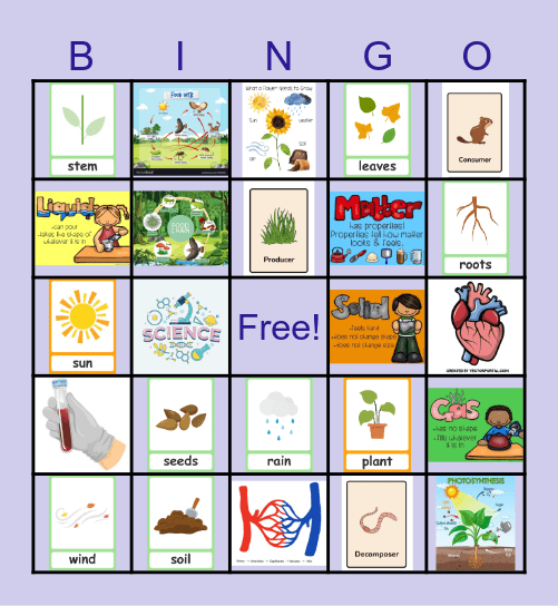 Science bingo Card