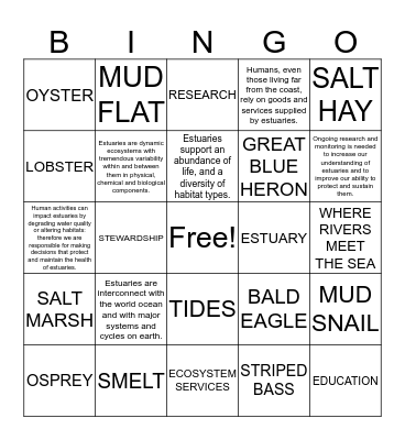ESTUARY PRINCIPLES AND CONCEPTS Bingo Card