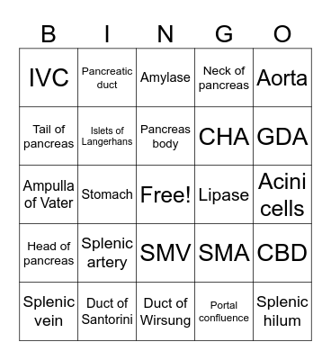 Pancreas Anatomy and Physiology Bingo Card