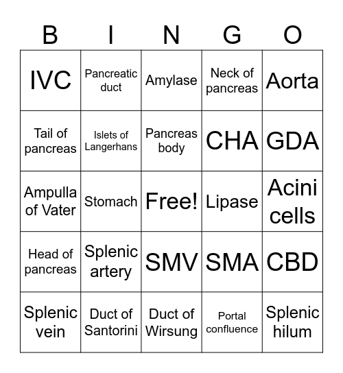 Pancreas Anatomy and Physiology Bingo Card