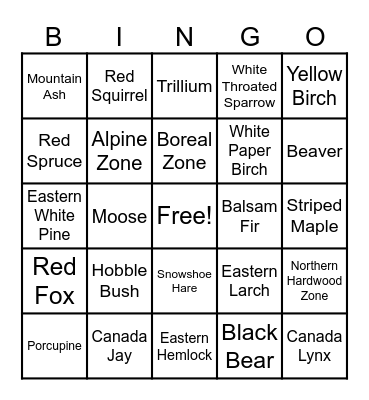 White Mountains Nature Trivia/Bingo Card