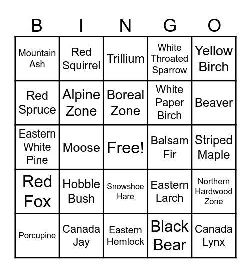 White Mountains Nature Trivia/Bingo Card