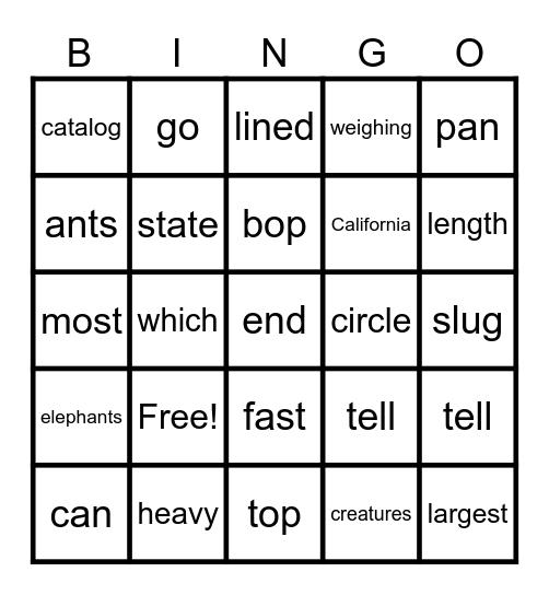 Adrian Bingo Card