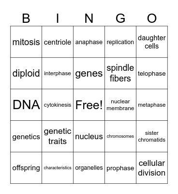 Inheritance of Traits BINGO Card