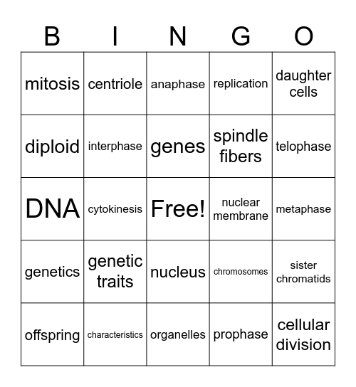 Inheritance of Traits BINGO Card