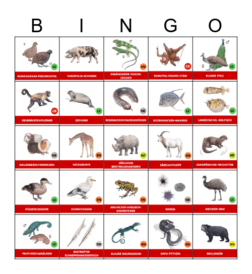 Zoo Zürich Bingo Card 2024 Bingo Card