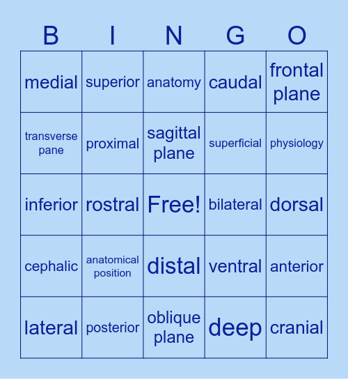 Anatomical Terms Bingo Card