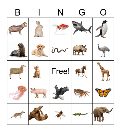 Animal Bingo Card