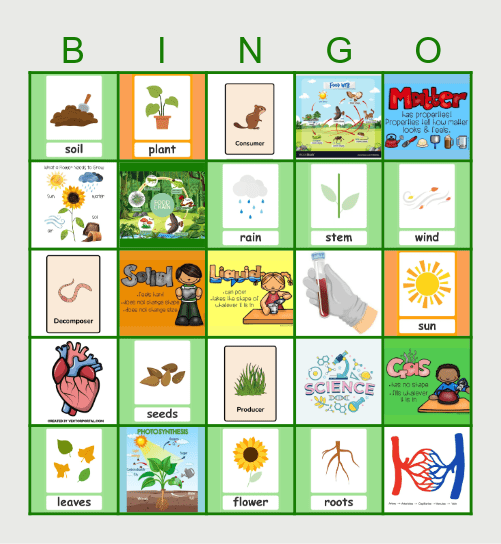 Science  Bingo Card