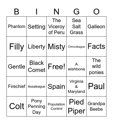 Misty of Chincoteague Bingo Card