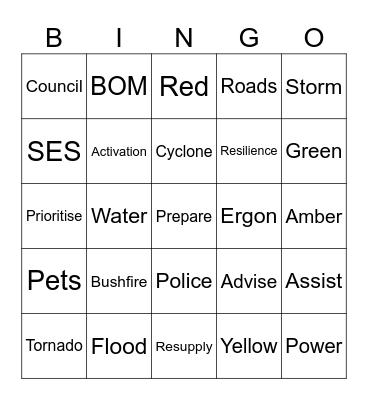 Disaster Mamagement Bingo Card