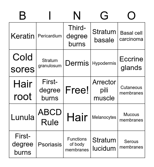 Integumentary System Bingo Card